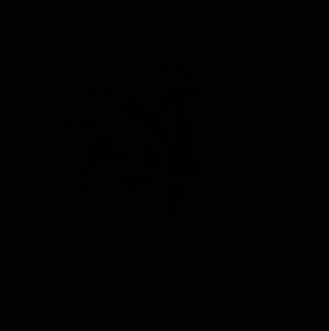 Meet your Posher, Bailey